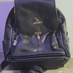 Small Backpack Purse