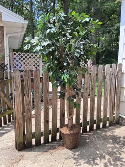 Indoor 6ft Artificial Ficus Tree in Woven Basket