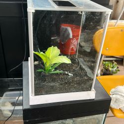 2-gallon betta fish tank with black substrate, water pump and light