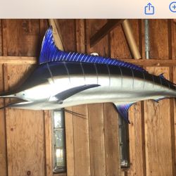 Blue Marlin Mount