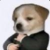 Scott 