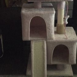 Cat House