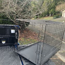 Large Medium Dog Kennel Crate Collapsible in Good Condition 36” L by W 22” H “24