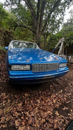 87 Luxury Sport Monte Carlo