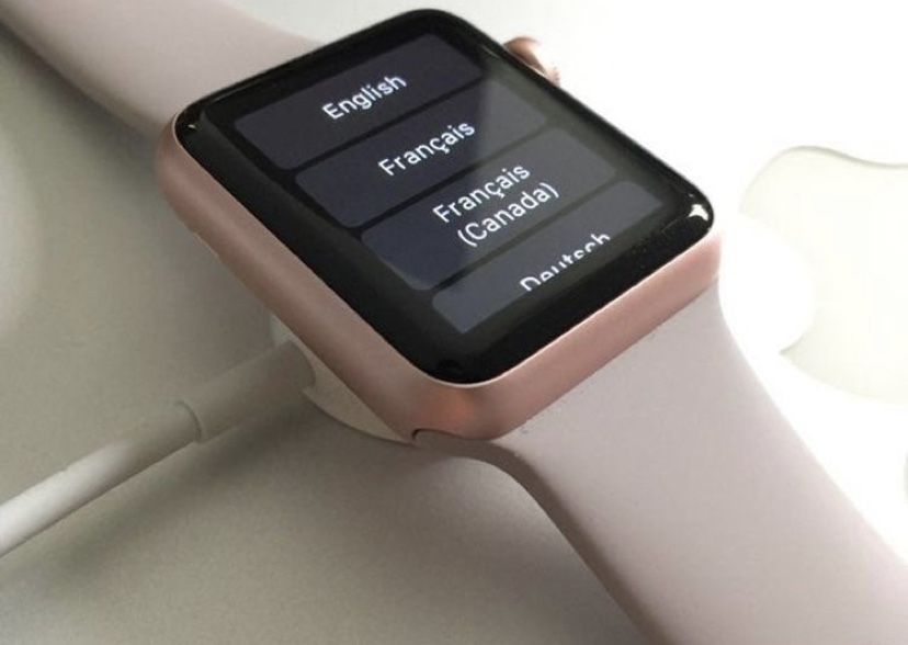 Apple Watch Series