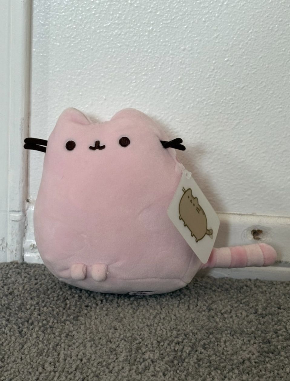 Pink Pusheen Plushie