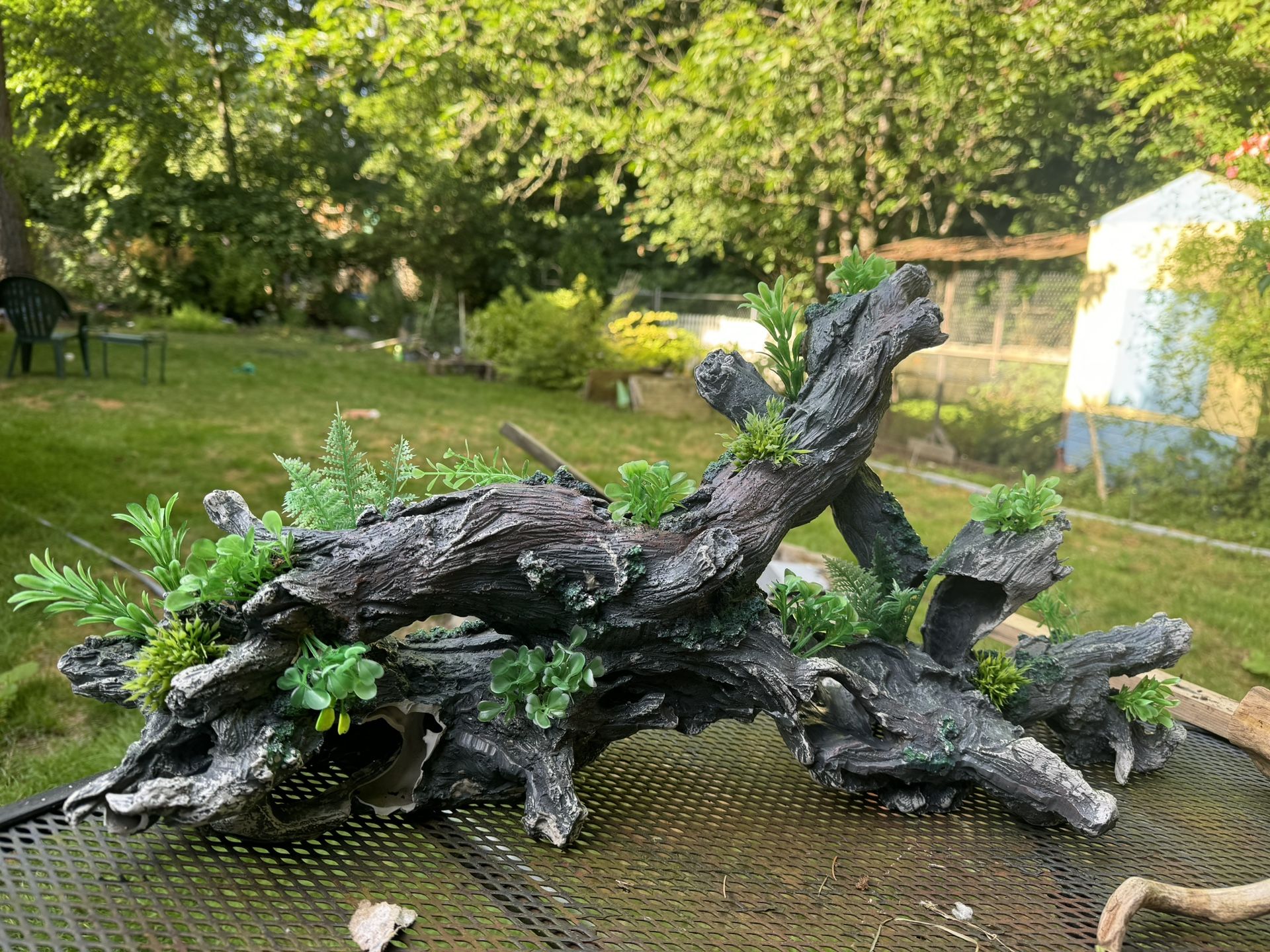 Fish Tank Decor