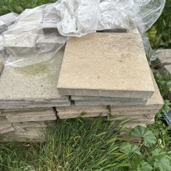 stepping stones varied sizes