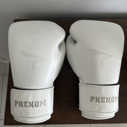 Phenom Box Gloves 