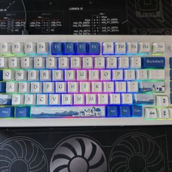 Akko Mechanical Keyboard 