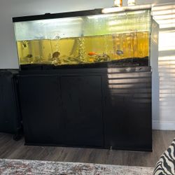 Full Aquarium For Sale 75 Gallon 