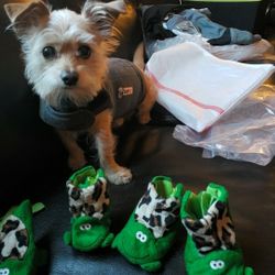 Dog frog booties