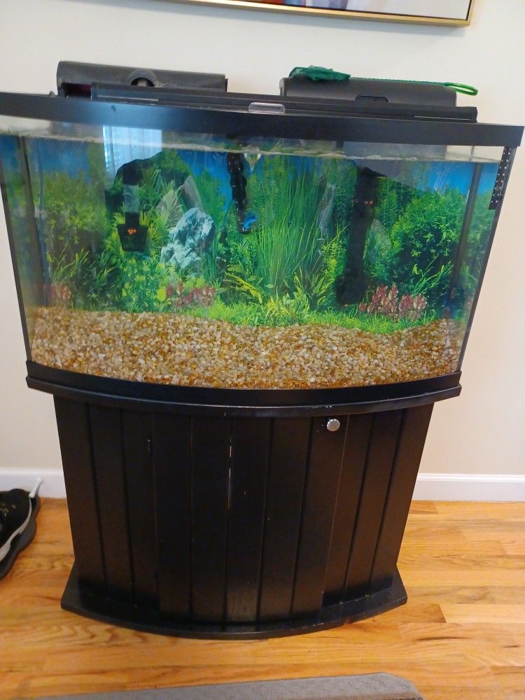 Fihs Tank