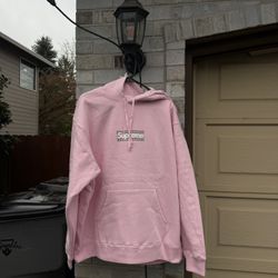 Supreme Pink Burberry Box Logo Hoodie