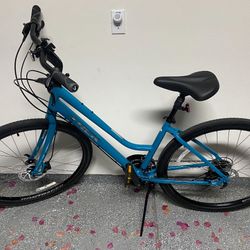 Trek Verve 2 Bike -Adult Size