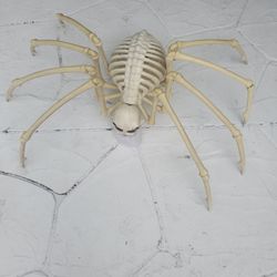HALLOWEEN SKELETON SPIDER, EYES LIT, BATTERIES - 40W X 30D X 13.5H INCH