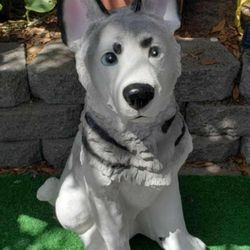 Beautiful Huskystatue