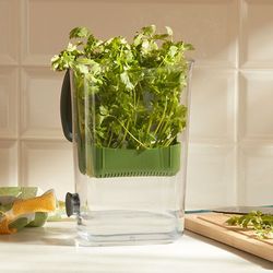 PH Pantry Herb Keeper Princess House #10009