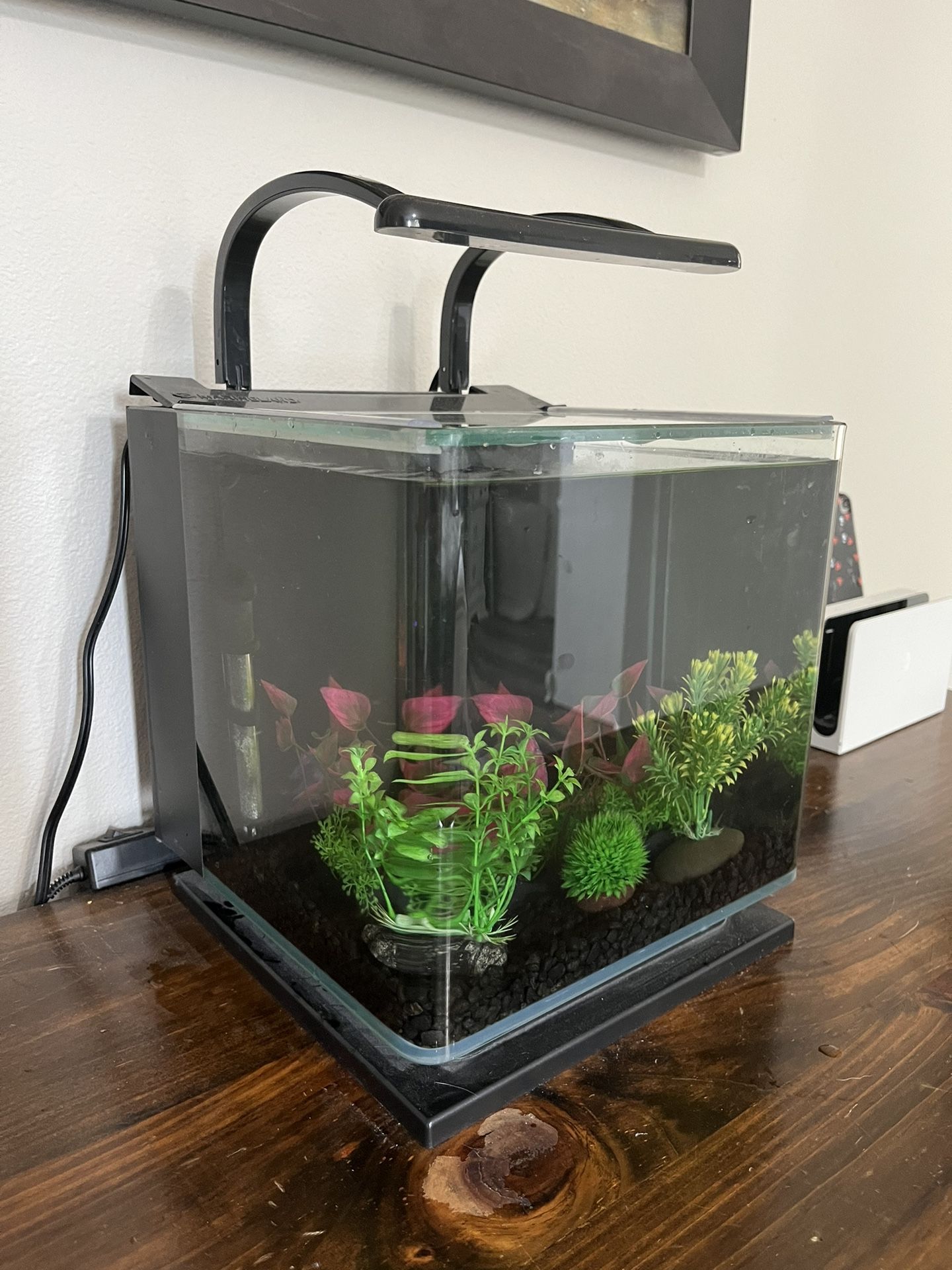 Marineland Contour 3 Gallon Aquarium and With Heater
