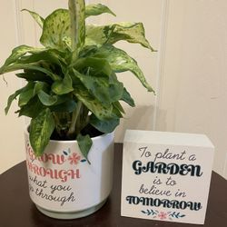 $15 | Gift Set | Potted Plant With Inspiration | Perfect For Office