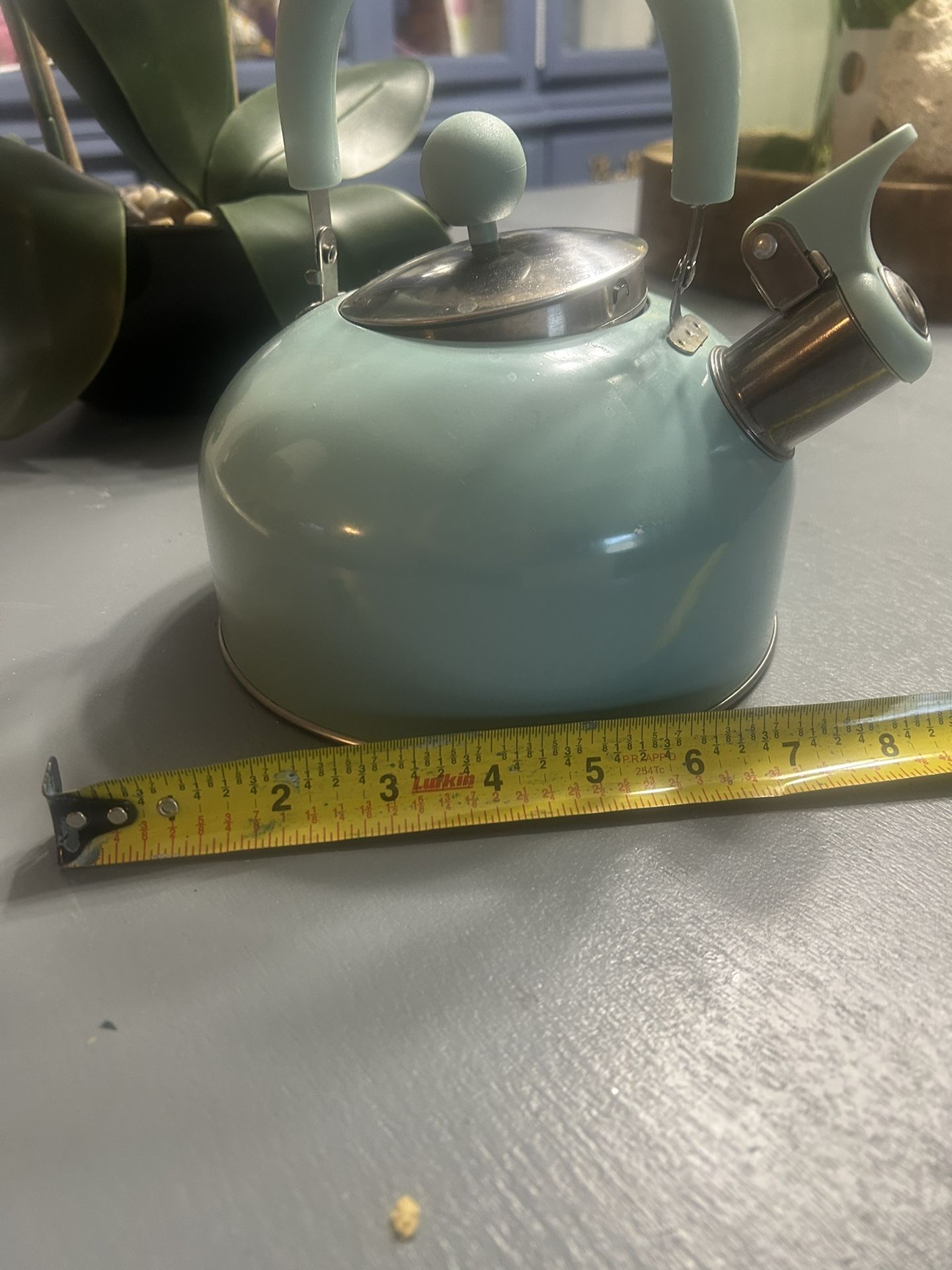 stainless Steel Baby Blue Tea Kettle