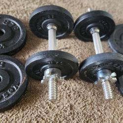 Dumbbells 8 and 5 Lbs