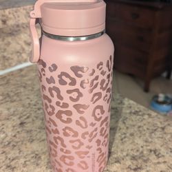 Stainless Steel Bottle