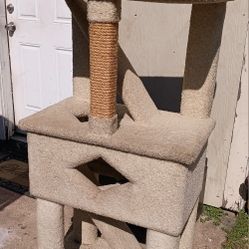 Cat Tree