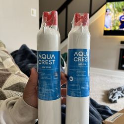 Fridge Water Filter Replacement