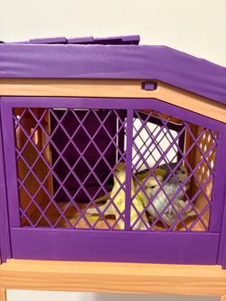 LLP house for birds