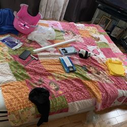 ‼️🚨FREE FREE FREE 🚨‼️ 1 QUEEN 2 FULLS