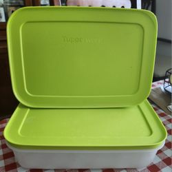 2 Tupperware Freezer Containers