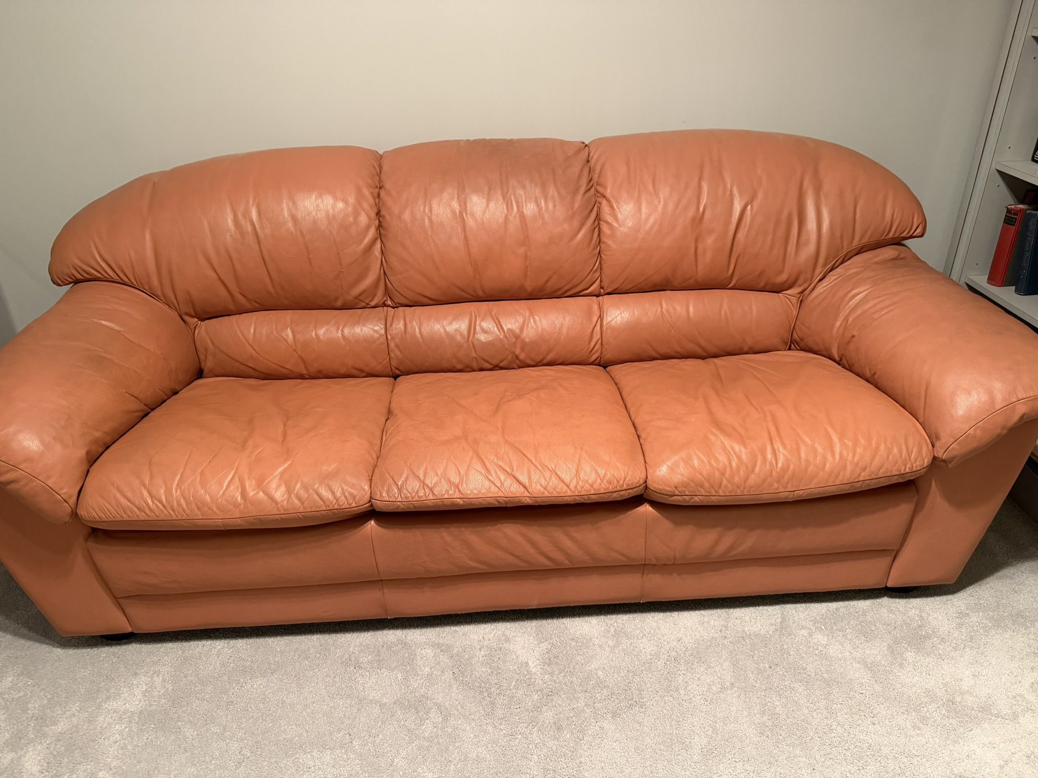 Free Natuzzi Couch