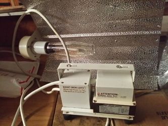 250watt HPS Grow Light & Ballast