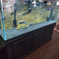 220 Gallon Tank With Hood And Stand