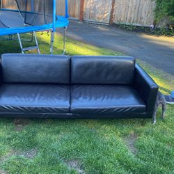 Free Couch