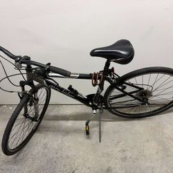 Gary Fisher Zebrano hybrid bicycle (by Trek).