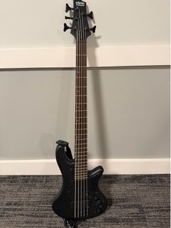 Schecter 5-String Bass + 30W Amp – Clean Setup (Bundle Deal)