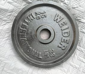 Olympic Plate (Single) 33 lbs