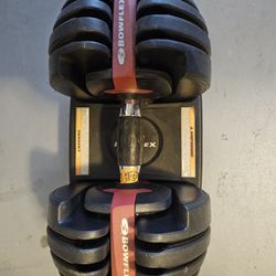 Bowflex Weight Set