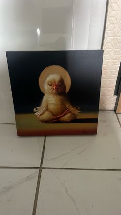 12’ x 12’ Canvas