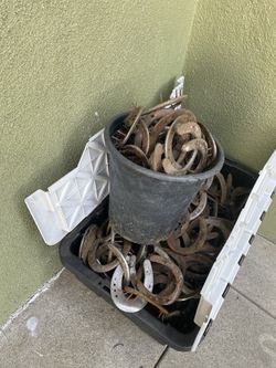 Horse shoes