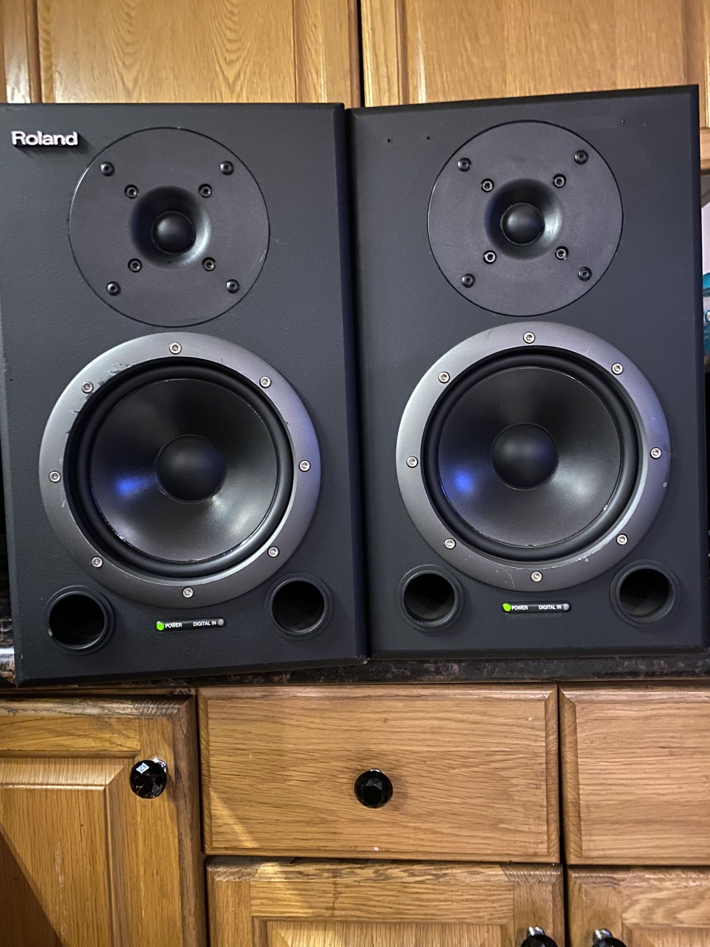 Roland Studio Monitors 
