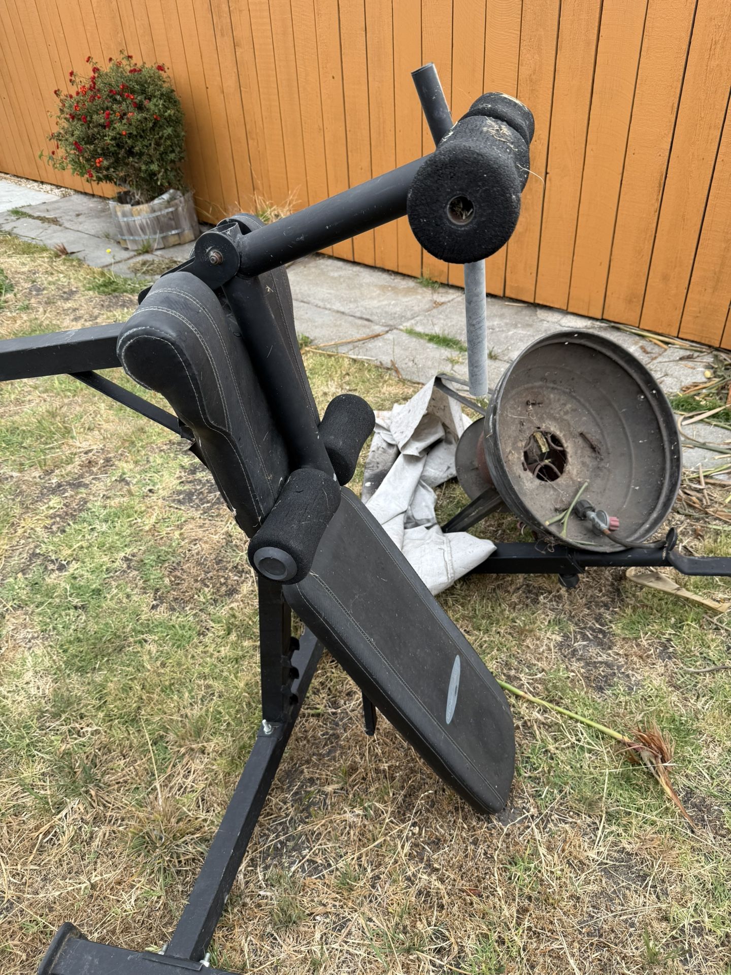 bench press