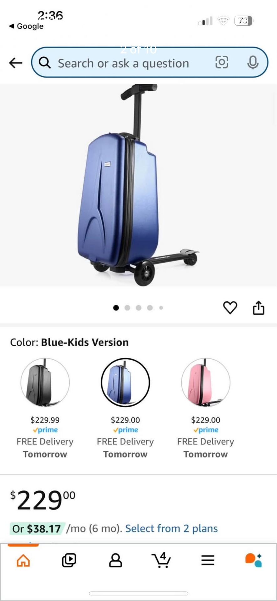 Scooter Luggage 