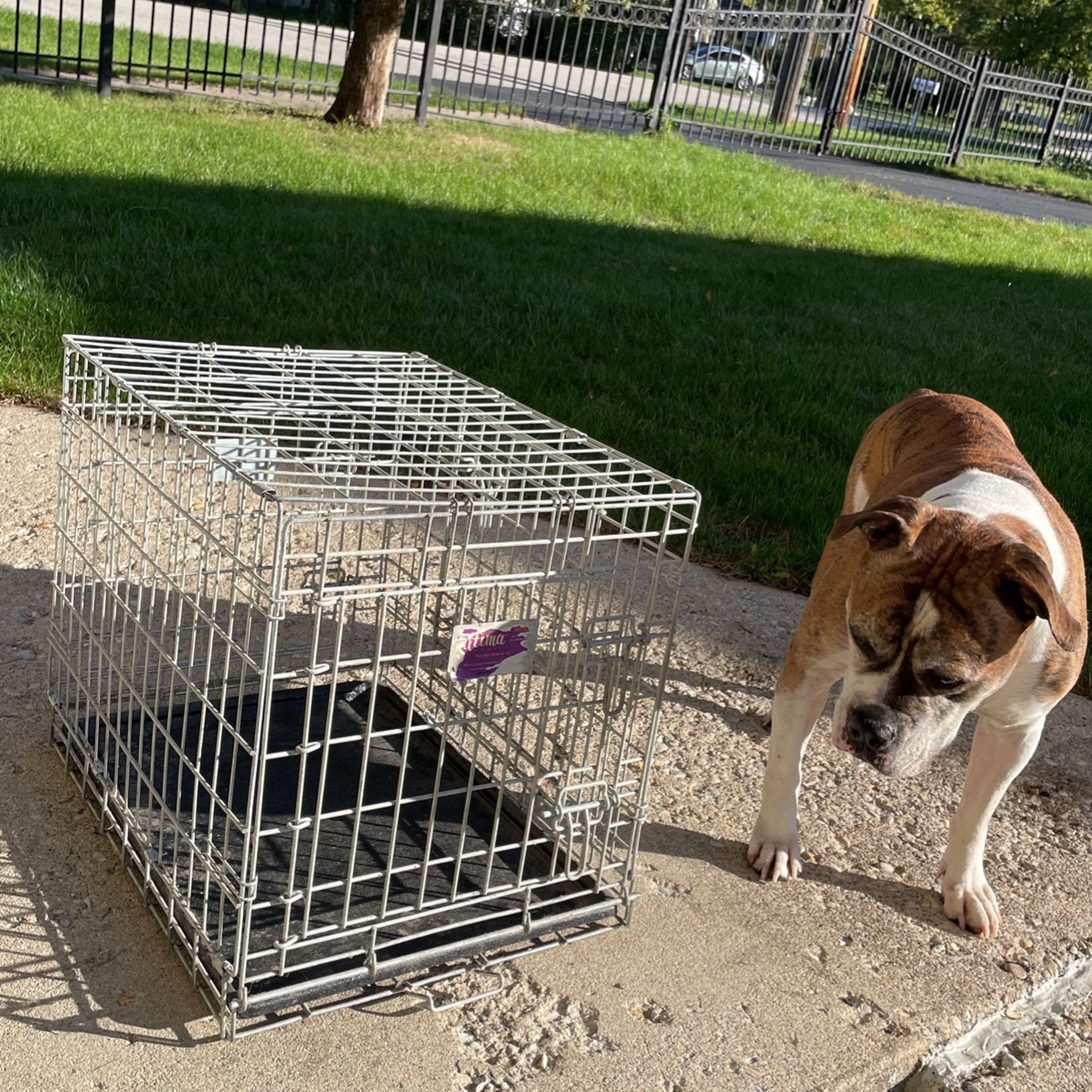 Small Pet Crate Dog Puppy Cat Etc..