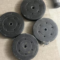 25lb plates and 15lb plates