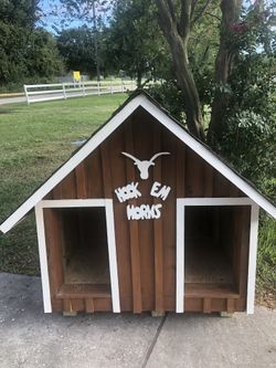 Custom Longhorns dog house