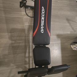 Workout Bench