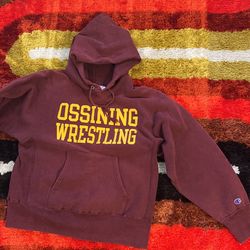 Vintage Champion Reverse Weave Collegiate Hoodie Men’s Meduim